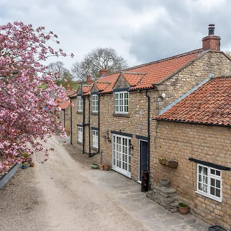 Daisy - Sands Farm